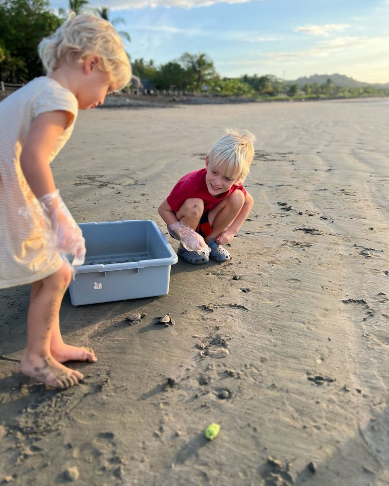children releasing baby sea turtles on the beach in Playa Venao